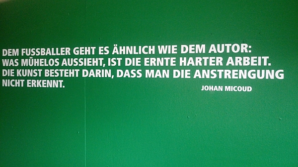 Spruch Johan Micoud im Weserstadion