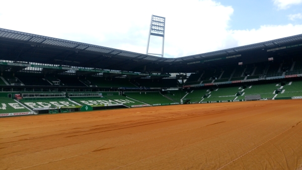 Blick vom Spielfeldrand im Weserstadion